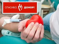 В России отмечается один из важных социальных праздников — Национальный день донора