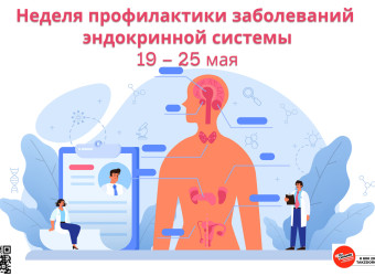 Эндокринная система