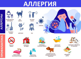 Профилактика аллергии — основные правила