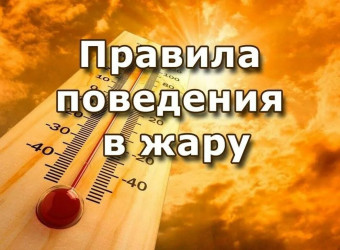 КАК ПОЗАБОТИТЬСЯ О ЗДОРОВЬЕ В ЛЕТНИЙ ПЕРИОД ЖАРА
