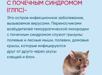 Геморрагическая лихорадка что это
