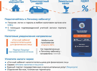 1 декабря срок уплаты налогов