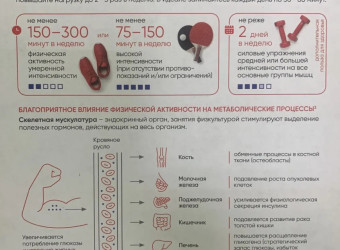 Физическая активность у пожилых