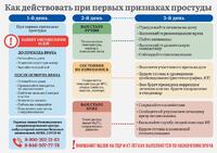 Как действовать при первых признаках простуды