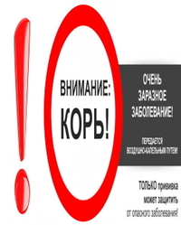 Внимание: КОРЬ! Очень заразное заболевание! Только прививка может защитить от опасного заболевания!