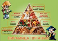 Здоровое питание