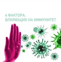 4 фактора, влияющих на иммунитет