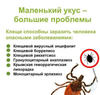 Майские праздники на природе. Как уберечься от клещей?