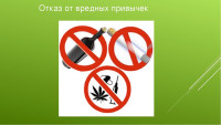 Мы выбираем ЗОЖ