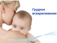 Грудное вскармливание