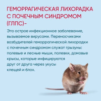 Геморрагическая лихорадка что это