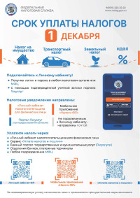1 декабря срок уплаты налогов