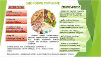 Правильное питание - залог здоровья!