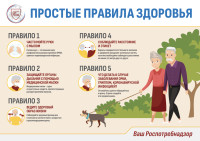 Правилами здорового образа жизни