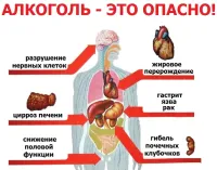 Цифры Минздрава и ВОЗ неумолимы